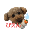 ワンワン スタンプ（個別スタンプ：13）