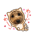 ワンワン スタンプ（個別スタンプ：18）