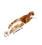 ねこの日常 シマとコタ（個別スタンプ：8）