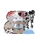 健造ファミリー③（個別スタンプ：1）