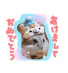 健造ファミリー③（個別スタンプ：2）