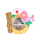 健造ファミリー③（個別スタンプ：4）