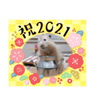 健造ファミリー③（個別スタンプ：5）