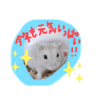 健造ファミリー③（個別スタンプ：8）