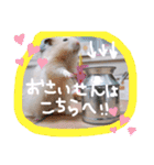 健造ファミリー③（個別スタンプ：10）