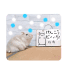 健造ファミリー③（個別スタンプ：13）