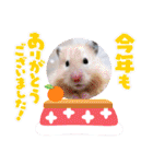 健造ファミリー③（個別スタンプ：14）