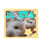 健造ファミリー③（個別スタンプ：15）