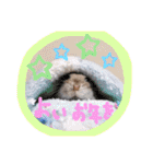 健造ファミリー③（個別スタンプ：16）