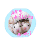 健造ファミリー③（個別スタンプ：17）