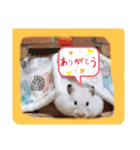 健造ファミリー③（個別スタンプ：23）