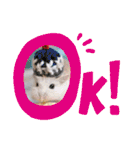 健造ファミリー③（個別スタンプ：26）