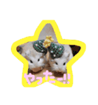 健造ファミリー③（個別スタンプ：39）
