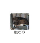 ジョンうる その2（個別スタンプ：16）