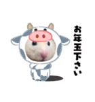 うしじま(´O｀)（個別スタンプ：6）