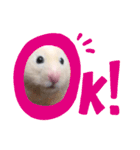 うしじま(´O｀)（個別スタンプ：7）