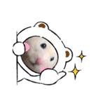 うしじま(´O｀)（個別スタンプ：11）