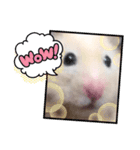 うしじま(´O｀)（個別スタンプ：24）