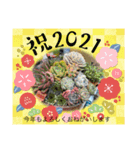 ハルさんの楽しい仲間たち（個別スタンプ：6）