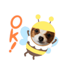犬パピヨン（個別スタンプ：2）