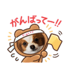 犬パピヨン（個別スタンプ：8）
