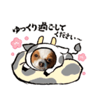犬パピヨン（個別スタンプ：9）