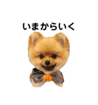 チャックだよ！②（個別スタンプ：2）