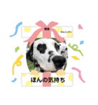 丹波マザーガーデンワンズ1（個別スタンプ：6）