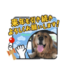 丹波マザーガーデンワンズ1（個別スタンプ：7）