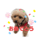 ナラファミリー27（個別スタンプ：1）