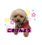 ナラファミリー27（個別スタンプ：2）