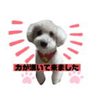 ナラファミリー27（個別スタンプ：6）