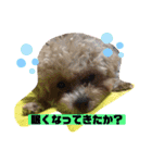 ナラファミリー27（個別スタンプ：7）