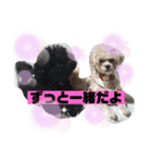 ナラファミリー27（個別スタンプ：8）
