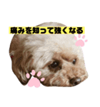 ナラファミリー27（個別スタンプ：10）