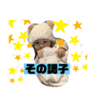 ナラファミリー27（個別スタンプ：13）