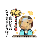 ブルドッグ乙女とまろ親子年末年始スタンプ（個別スタンプ：6）