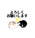 gumicoの猫氏スタンプ/手つなぎ（個別スタンプ：3）