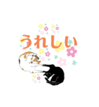 gumicoの猫氏スタンプ/手つなぎ（個別スタンプ：5）