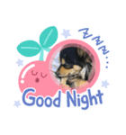 ときりといつも一緒(∪•ﻌ•∪)（個別スタンプ：8）