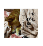 こまフスキーの日常2（個別スタンプ：8）