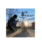 こまフスキーの日常2（個別スタンプ：14）