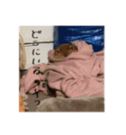 こまフスキーの日常2（個別スタンプ：17）