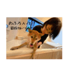 こまフスキーの日常2（個別スタンプ：21）