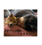 こまフスキーの日常2（個別スタンプ：28）