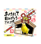 セキセイインコのスタンプ(お正月など)（個別スタンプ：2）