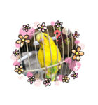 セキセイインコのスタンプ(お正月など)（個別スタンプ：4）