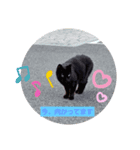 味たま（個別スタンプ：1）