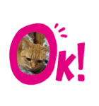 味たま（個別スタンプ：2）