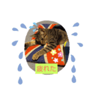 味たま（個別スタンプ：4）